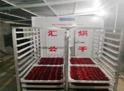 辣椒，秋葵烘干机